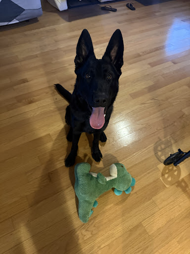 Photo from customer review