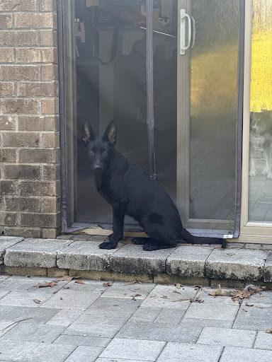 Photo from customer review