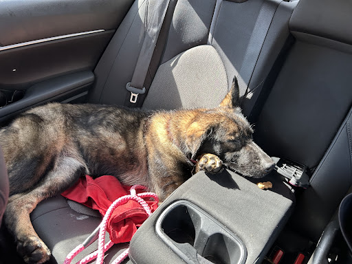 Photo from customer review